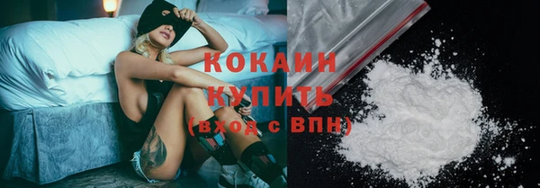 индика Россошь