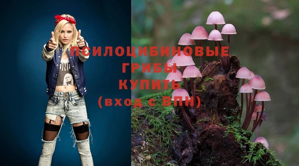 ALPHA PVP Ростов