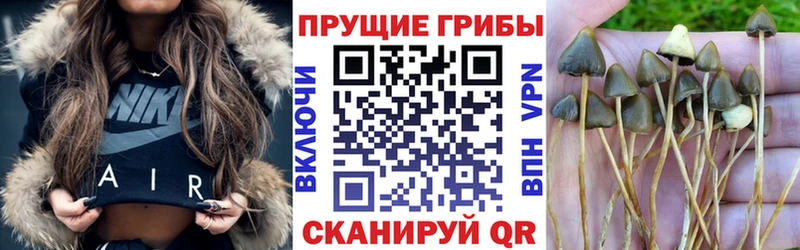 Галлюциногенные грибы Magic Shrooms  хочу наркоту  Агрыз 